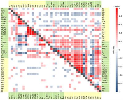 Prioritization of Candidate Genes in QTL Regions for Physiological and Biochemical Traits Underlying Drought Response in Barley (Hordeum vulgare L.)